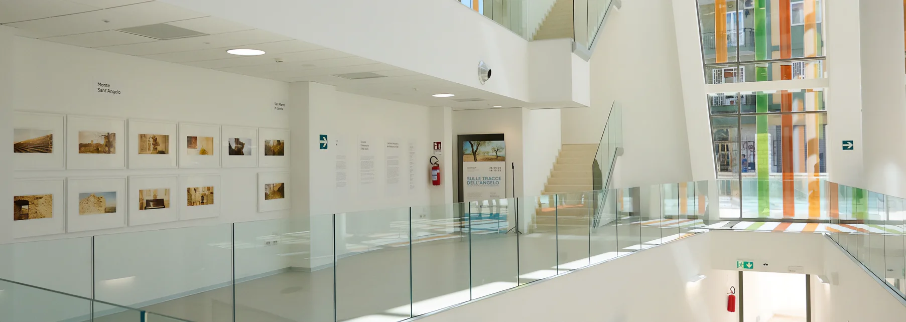 Politecnico Organizzazione