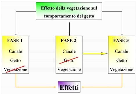 fasi esperimento