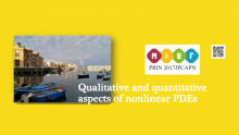Qualitative and quantitative aspects of nonlinear pdes