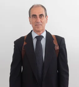 Prof. Michele Dassisti