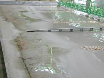 Vista dall'alto del modello con due pennelli emersi portati a sommersi Modello